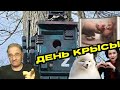 День Крысы | Новости 7-40, 4.4.2024