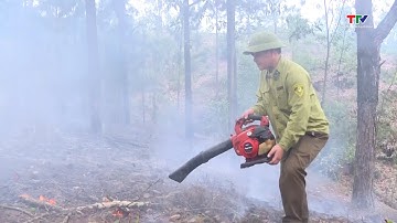 Tăng cường các biện pháp cấp bách phòng cháy, chữa cháy rừng