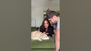 Using A Dog Translator To See Who My Dog Prefers