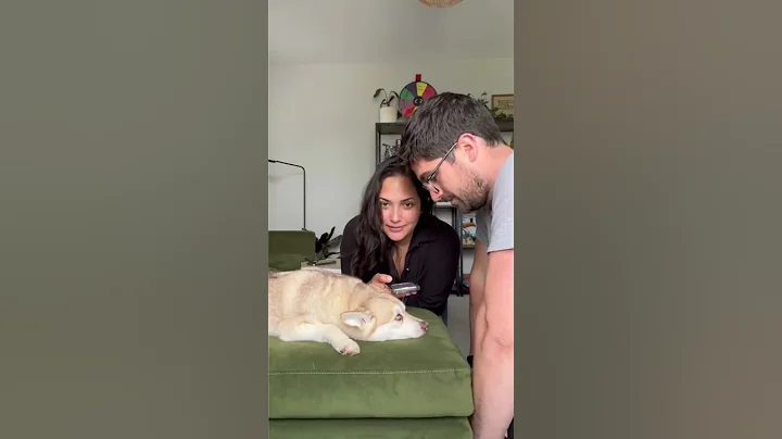 Using A Dog Translator To See Who My Dog Prefers