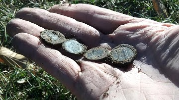 Nokta Makro Legend at a local park