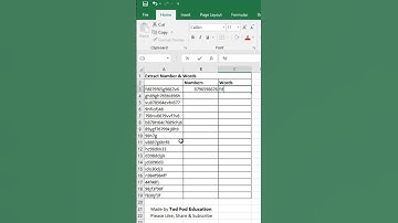Extract Number & Words using Flash Fill - Excel tips & Tricks from @todfodeducation