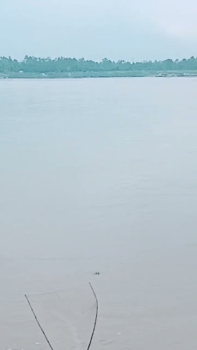 Chandi ki Sikka #chandikisikka #chandi #dhana #viral #trending