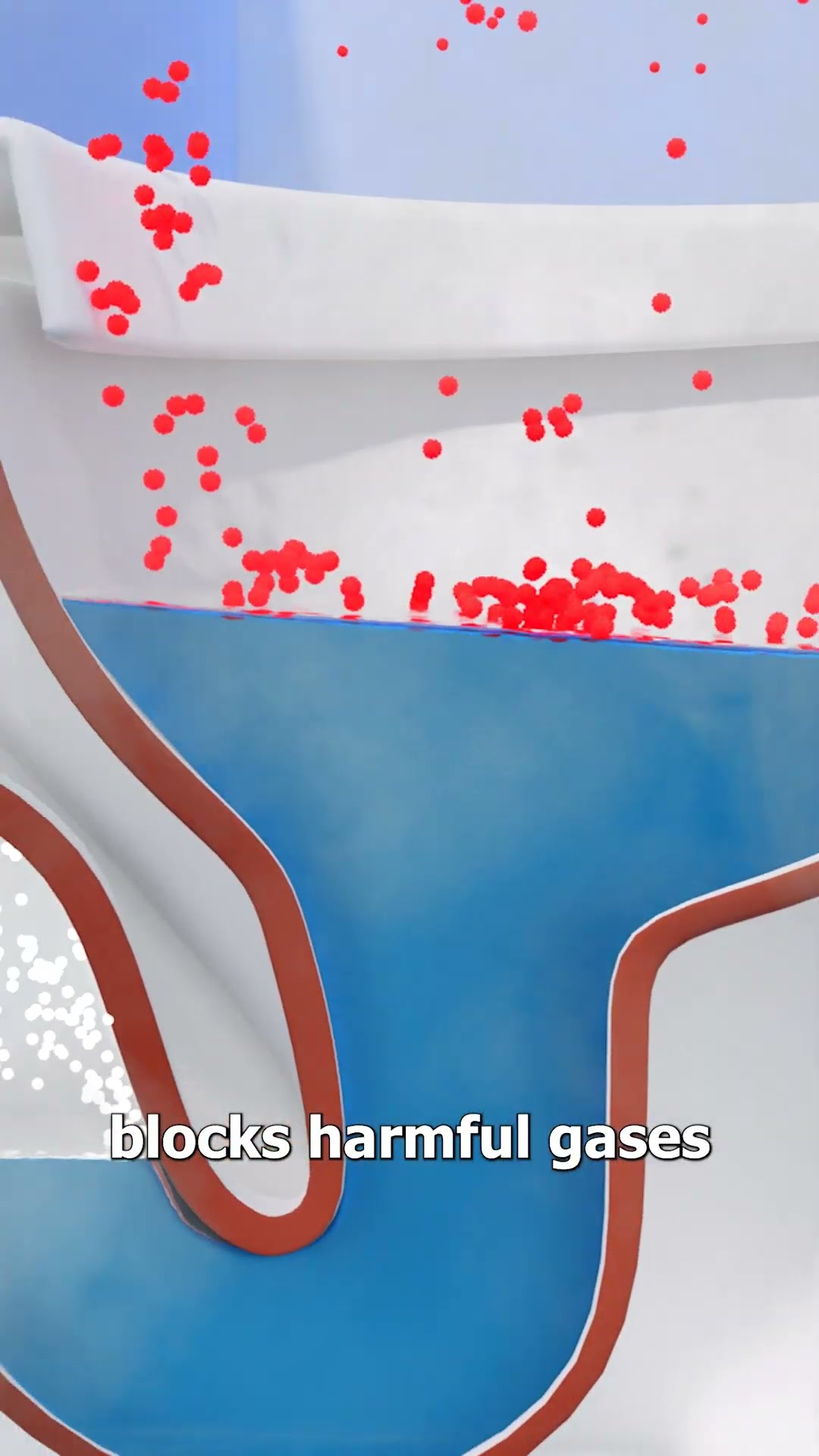 How A Toilet Snorkel Works  ?