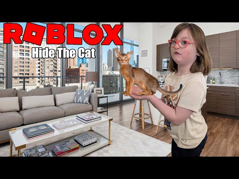 Where Should We Hide | Hide The Cat | Roblox