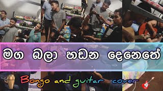 මග බලා හඩන දෙනෙතේ/bachi susan/maga bala hadana denethe/bongo and guitar cover/@bodima_official775 song