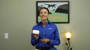 PD300Z: Z-Wave Plug-In Lamp Module