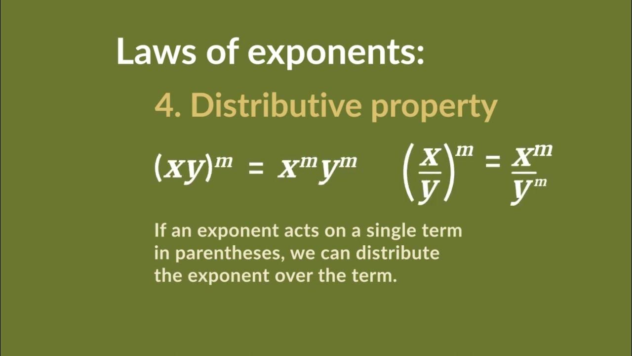 2.6 Laws of exponents 4 Distributive property math maths YouTube
