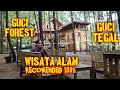 Wisata Baru 2022 Guci Forest wisata Guci Tegal Camping ground villa penginapan pemandian air panas