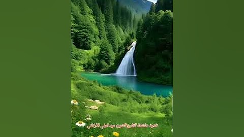 #سورة_محمد | تلاوة خاشعة للقارئ الشيخ عبد الولي الأركاني 📗🎧❤️