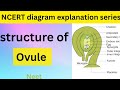 structure of ovule |neet |12 board