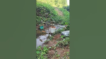 Automatic hydraulic bird startling device