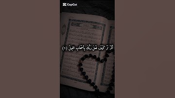 سورة الفيل #quran #قرآن