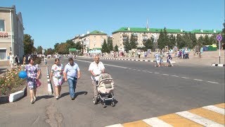День Алексеевского района