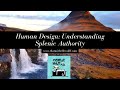 Understanding Splenic Authority in Human Design