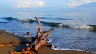 The Sound of Calm Ocean Waves to Help You Sleep Instantly