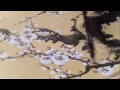 Chinese Traditional Art Cherry Blossom Paintings