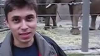 Jawed Karim First Video on Youtube "Me at the Zoo"