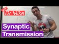 Neuronal Signaling and Synaptic Transmission Explained
