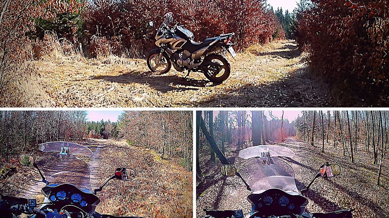 Honda Varadero 125 - FOREST RUN (OFF ROAD)