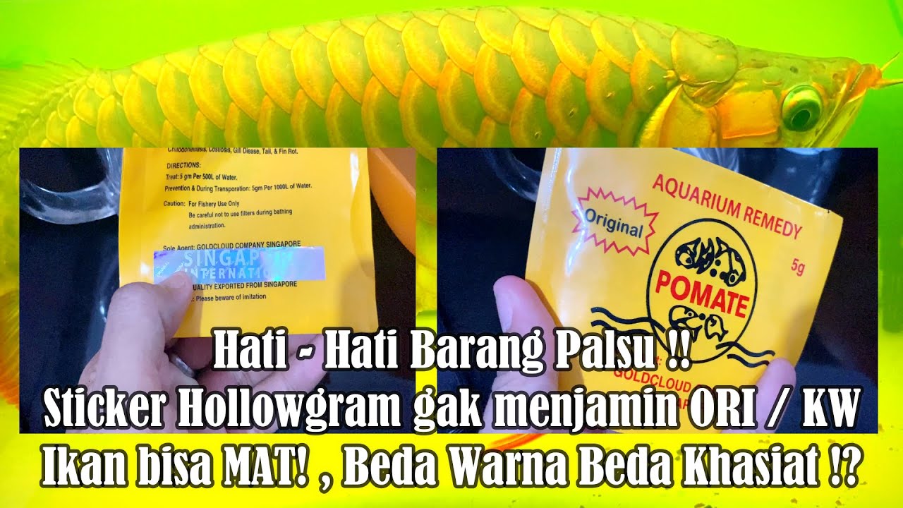🔴 Cara Cek Asli / Palsu obat Pomate Aquarium Remedy untuk ikan Arwana