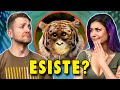 Questo animale esiste? 🐟 Quiz con Ambra