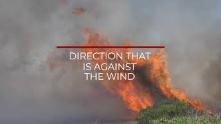 1. Hiking - What to do if you are trapped by a Wildfire
