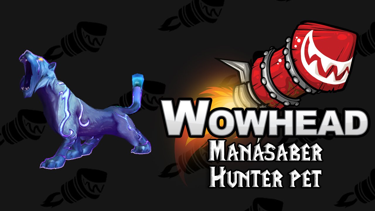 Manasaber (Legion Hunter Pet)