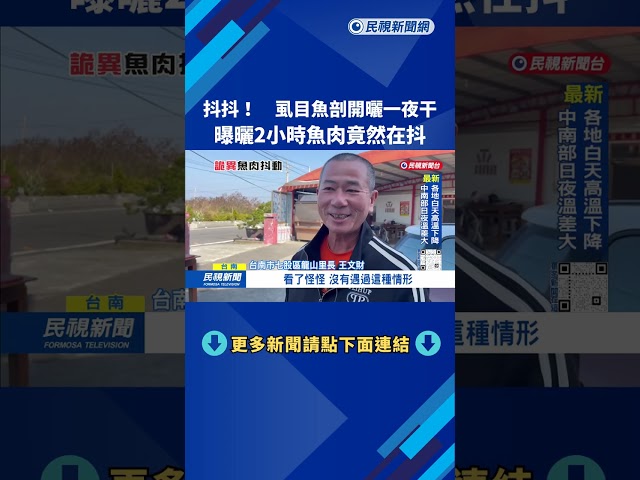 詭異！ 虱目魚剖開製作一夜干  曝曬2小時「魚肉竟在抖」－民視台語新聞