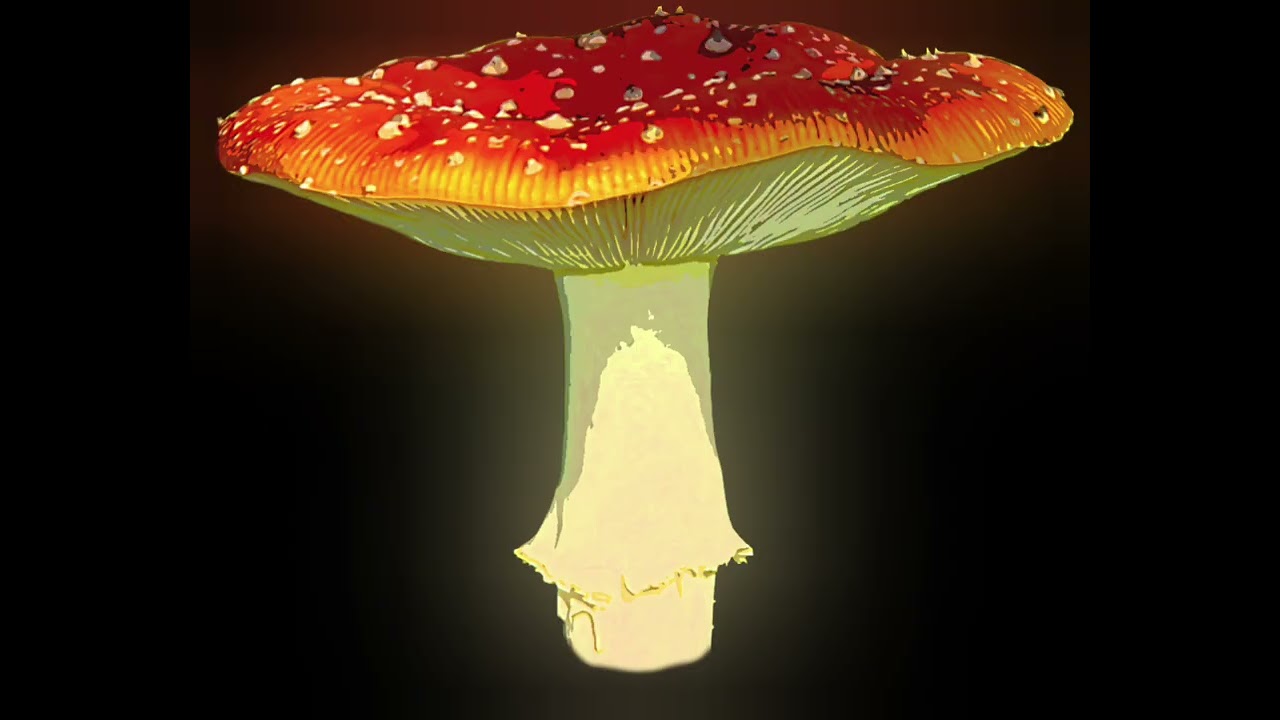 Virgo ♍️  October 2025 Horoscope Forecast: New Moon in House of Money! 💰 🤑 