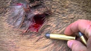 Marlin 45-70 Deer Kill Shot with 405 grain round. screenshot 2