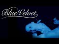 In Dreams (Subtitulos en Español) - Blue Velvet