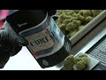 Cortadito Cannabis Strain | The Bakerie