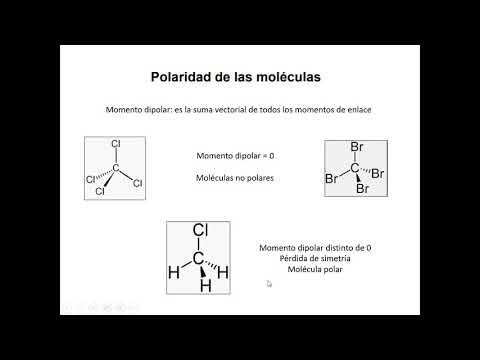 Toería - Propiedades moleculares