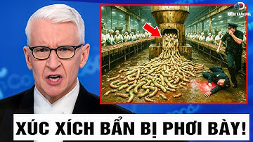 Phơi Bày 6 Thương Hiệu Xúc Xích Nguy Hiểm Đang Đầu Độc Người Tiêu Dùng