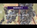 UNC- UNIVERSIDAD POPULAR VIRTUAL-MÓDULO 2: AROMAS DEL VINO