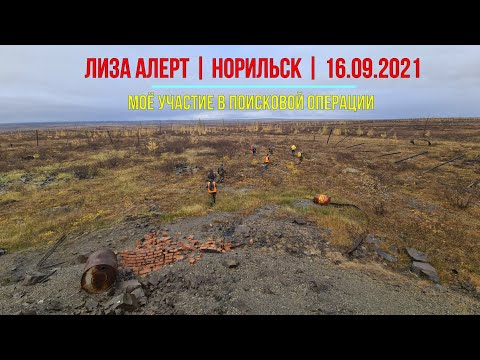 Лиза Алерт | Поисковая операция | 16.09.2021 | Таймыр, Норильск