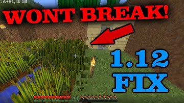Minecraft 1.12+ Block Lag Server FIX | Can