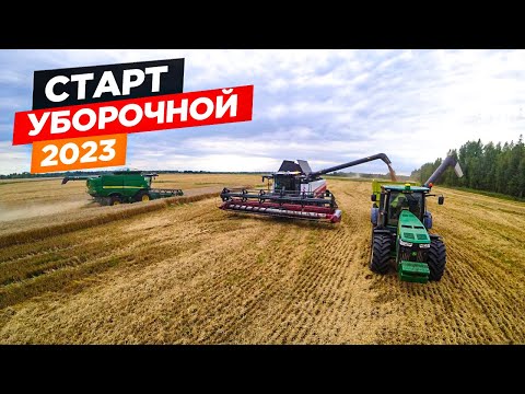 Начали уборку урожая в пять комбайнов: John Deere, РСМ-161, прицеп-перегрузчик и грузовики Камаз.