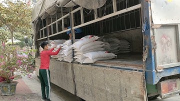 Cát thạch anh lọc nước A12