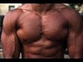 Build a bigger chest workout no equipment needed