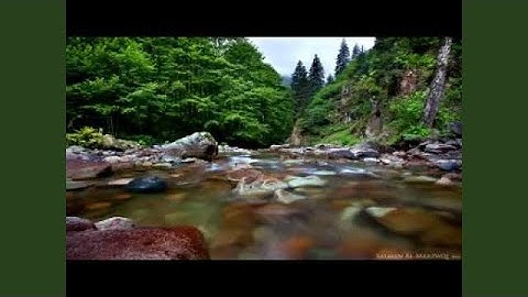 جاسم المال سورة البقرة