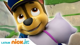 Paw Patrol, Patrulla de cachorros | ¡Los Cachorros necesitan tu ayuda! - parte 1 | Nick Jr.