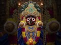 #jagannath🙏🪷🧿‼️🧿🪷🙏#youtube#youtubeshorts #shortsvideo#jayjagannath #jagannathbhajan #jagannathswami🙏