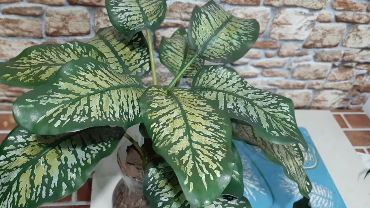 Como fazer folhas de comigo ninguém  pode em e v a