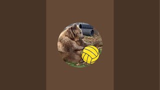UCLA B vs Cal Poly A