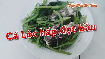 Cá lóc hấp đọt bầu | món ăn miền quê