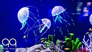 Beautiful Aquarium & Deep Focus Music 🔵 Binaural Beats with Underwater Background