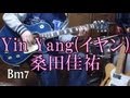 YIn Yang(イヤン) 桑田佳祐 カバー コード付き 最高の離婚