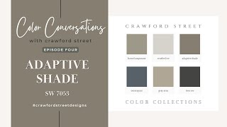 Color Conversations with Crawford Street: Episode 4- ADAPTIVE SHADE (SW 7053)
